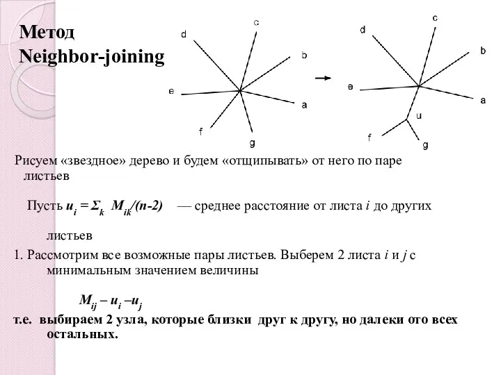 Метод Neighbor-joining Рисуем «звездное» дерево и будем «отщипывать» от него