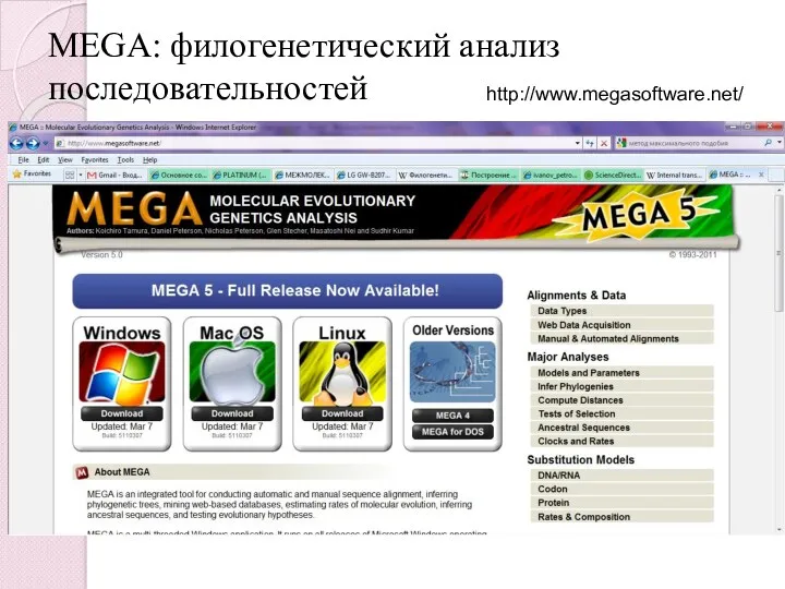 MEGA: филогенетический анализ последовательностей http://www.megasoftware.net/