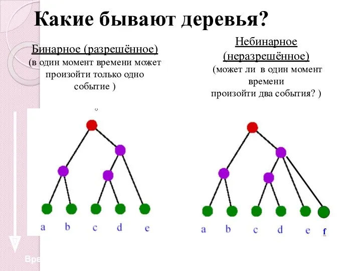 Какие бывают деревья? Бинарное (разрешённое) (в один момент времени может