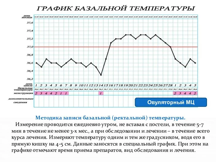 Овуляторный МЦ Методика записи базальной (ректальной) температуры. Измерение проводится ежедневно