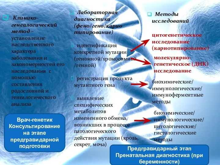 Клинико-генеалогический метод – установление наследственного характера заболевания и закономерностей его