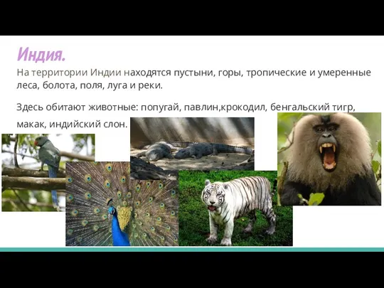 Индия. На территории Индии находятся пустыни, горы, тропические и умеренные