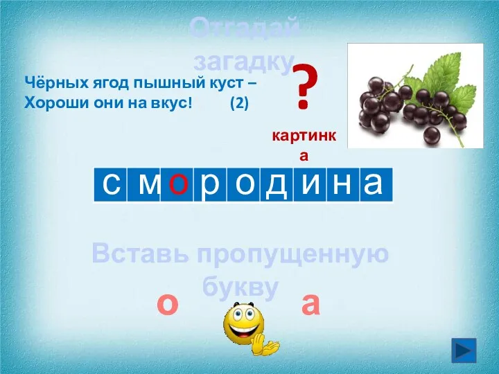 с о н а и р Чёрных ягод пышный куст