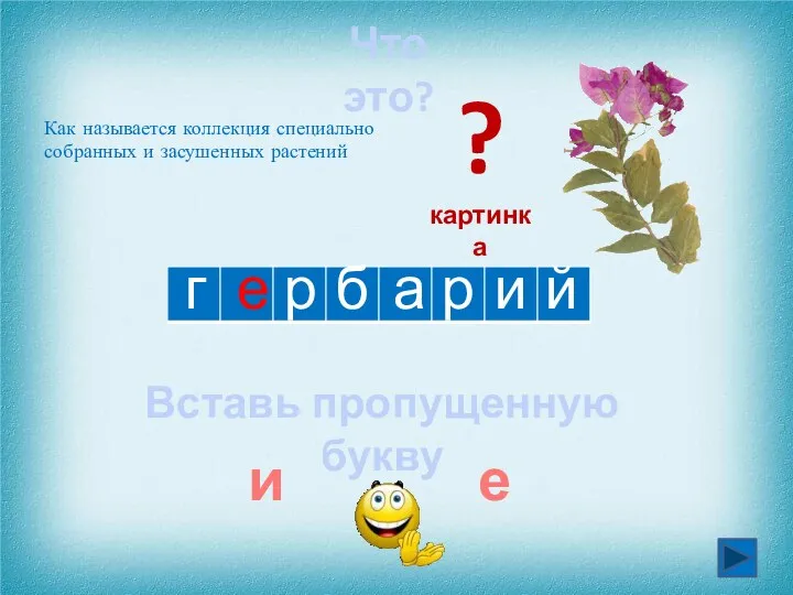 г а й и р Что это? ? картинка и