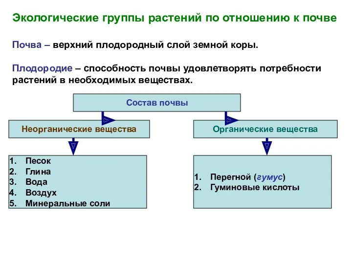 Экологические группы растений по отношению к почве Почва – верхний