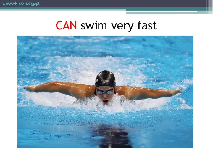 CAN swim very fast www.vk.com/egppt