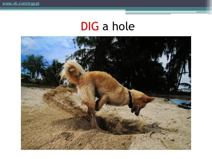 DIG a hole www.vk.com/egppt