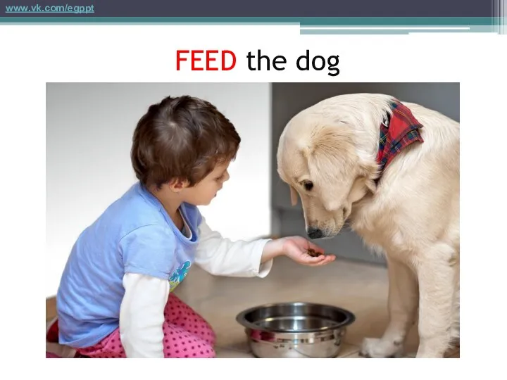 FEED the dog www.vk.com/egppt