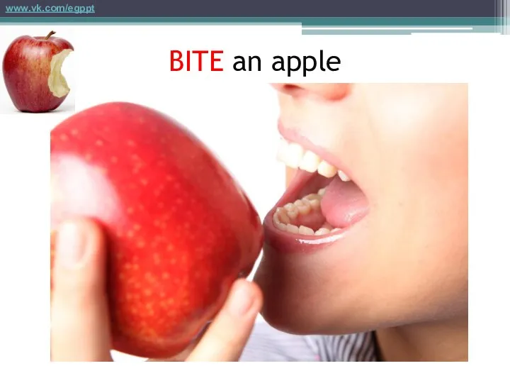 BITE an apple www.vk.com/egppt