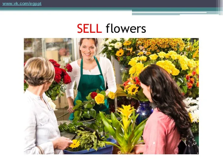 SELL flowers www.vk.com/egppt