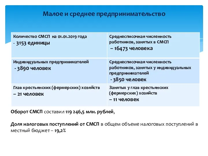 Малое и среднее предпринимательство Оборот СМСП составил 119 246,5 млн. рублей, Доля налоговых