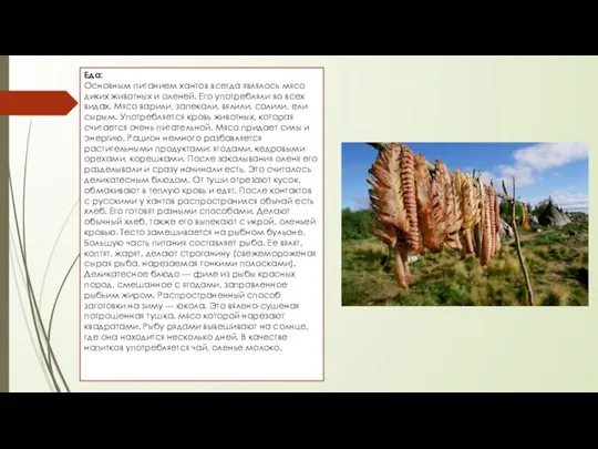 Еда: Основным питанием хантов всегда являлось мясо диких животных и