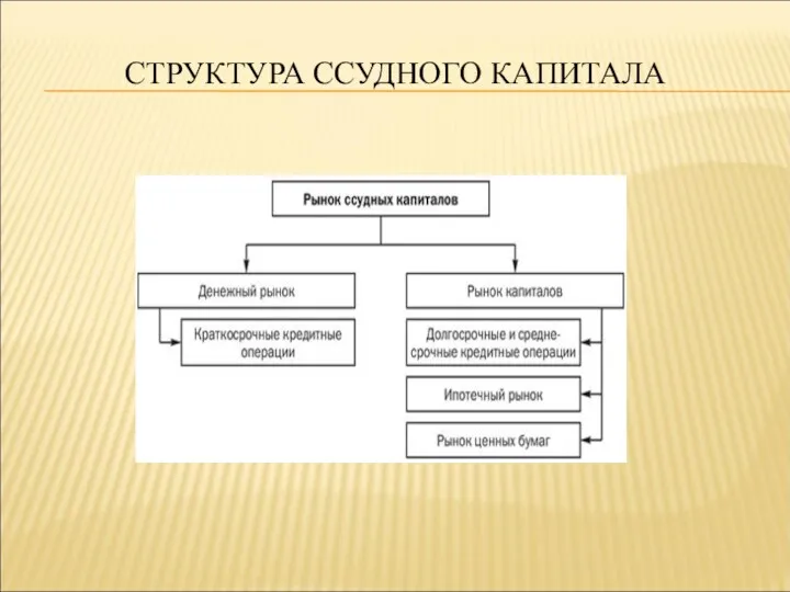 СТРУКТУРА ССУДНОГО КАПИТАЛА