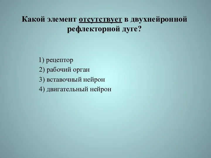 Какой элемент отсутствует в двухнейронной рефлекторной дуге? 1) рецептор 2)