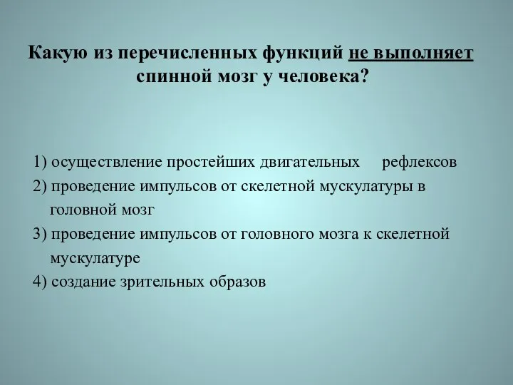 Какую из перечисленных функций не выполняет спинной мозг у человека?