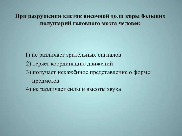 При разрушении клеток височной доли коры больших полушарий головного мозга