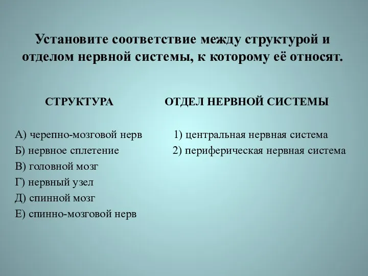 Установите соответствие между структурой и отделом нервной системы, к которому