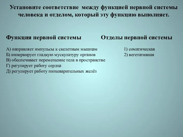 Установите соответствие между функцией нервной системы человека и отделом, который