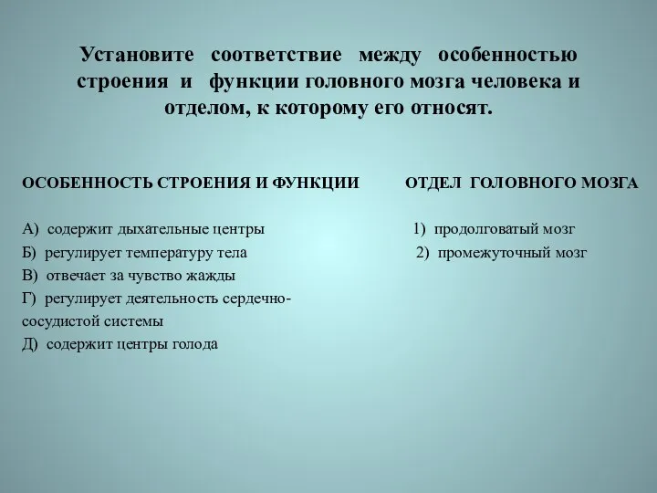 Установите соответствие между особенностью строения и функции головного мозга человека