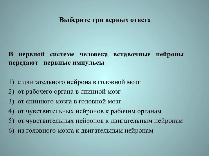 Выберите три верных ответа В нервной системе человека вставочные нейроны