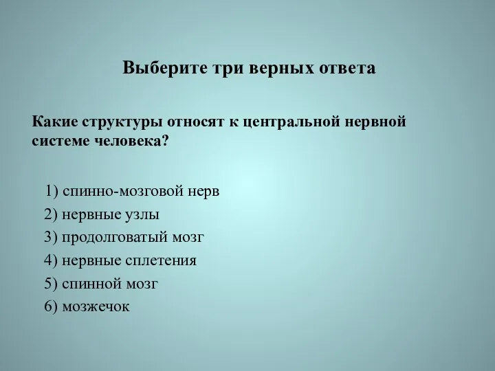 Выберите три верных ответа Какие структуры относят к центральной нервной