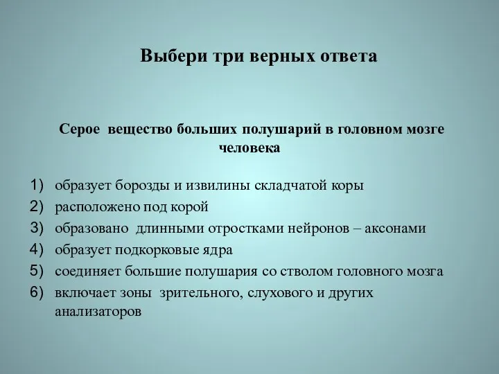 Выбери три верных ответа Серое вещество больших полушарий в головном