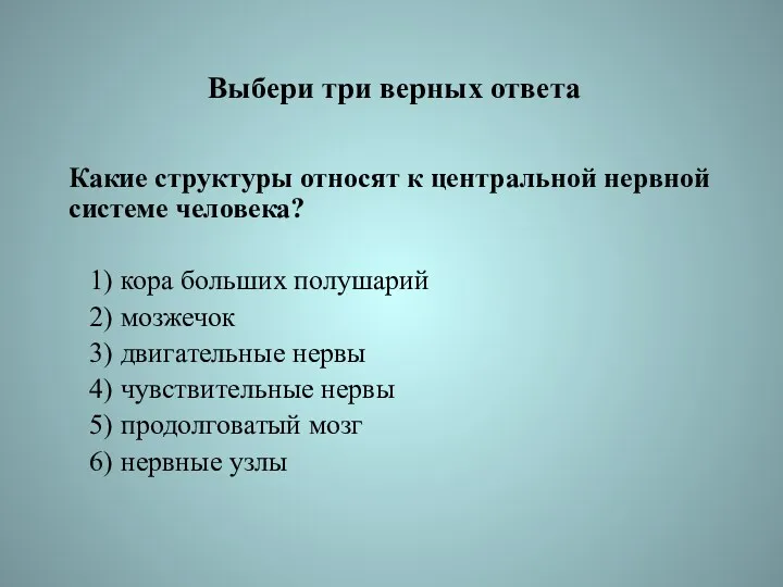 Выбери три верных ответа Какие структуры относят к центральной нервной