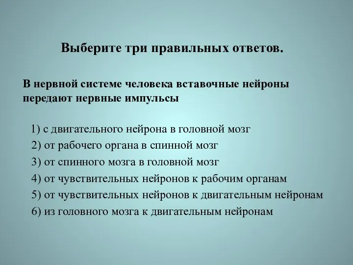 Выберите три правильных ответов. В нервной системе человека вставочные нейроны