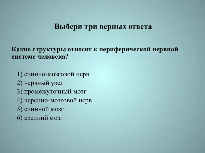 Выбери три верных ответа Какие структуры относят к периферической нервной