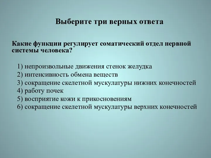 Выберите три верных ответа Какие функции регулирует соматический отдел нервной