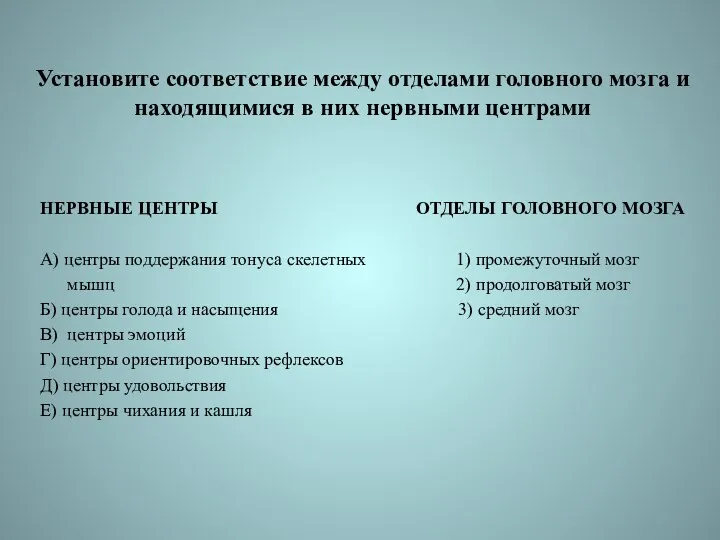 Установите соответствие между отделами головного мозга и находящимися в них