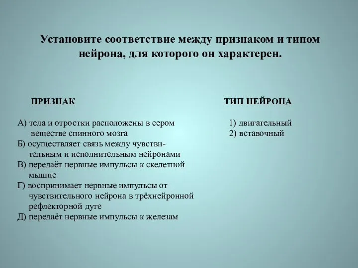 Установите соответствие между признаком и типом нейрона, для которого он