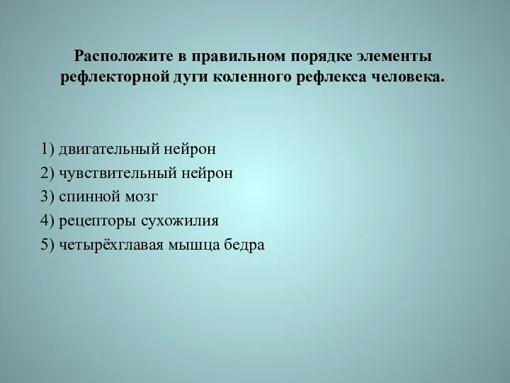 Расположите в правильном порядке элементы рефлекторной дуги коленного рефлекса человека.