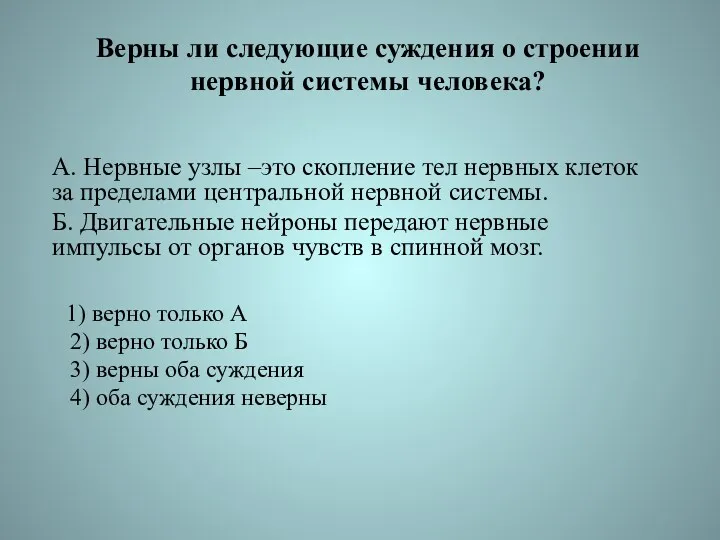 Верны ли следующие суждения о строении нервной системы человека? А.