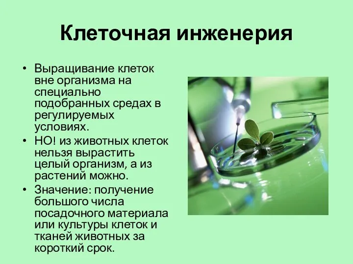 Клеточная инженерия Выращивание клеток вне организма на специально подобранных средах