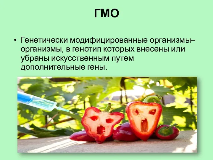 ГМО Генетически модифицированные организмы– организмы, в генотип которых внесены или убраны искусственным путем дополнительные гены.