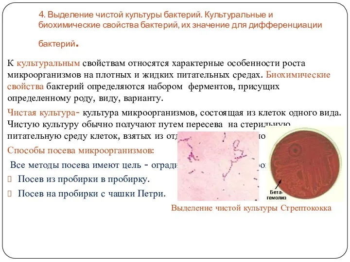 4. Выделение чистой культуры бактерий. Культуральные и биохимические свойства бактерий,