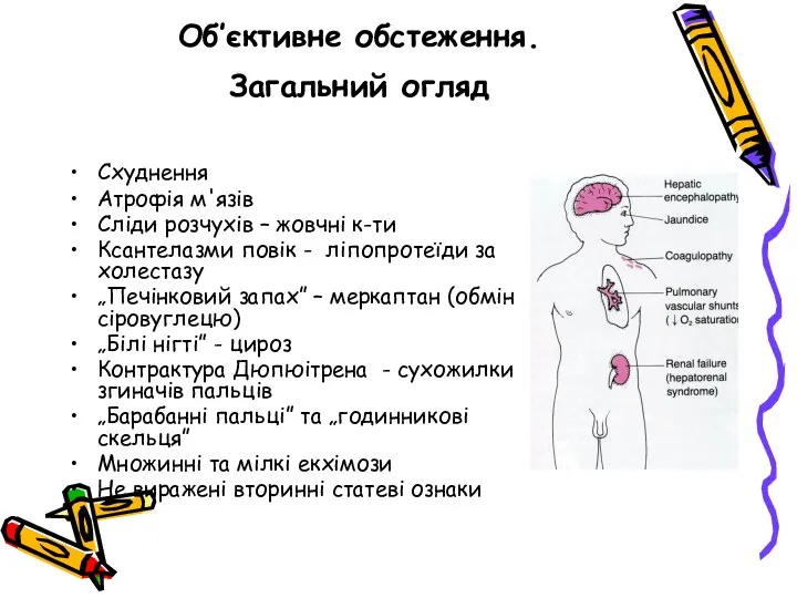 Об’єктивне обстеження. Загальний огляд Схуднення Атрофія м'язів Сліди розчухів –