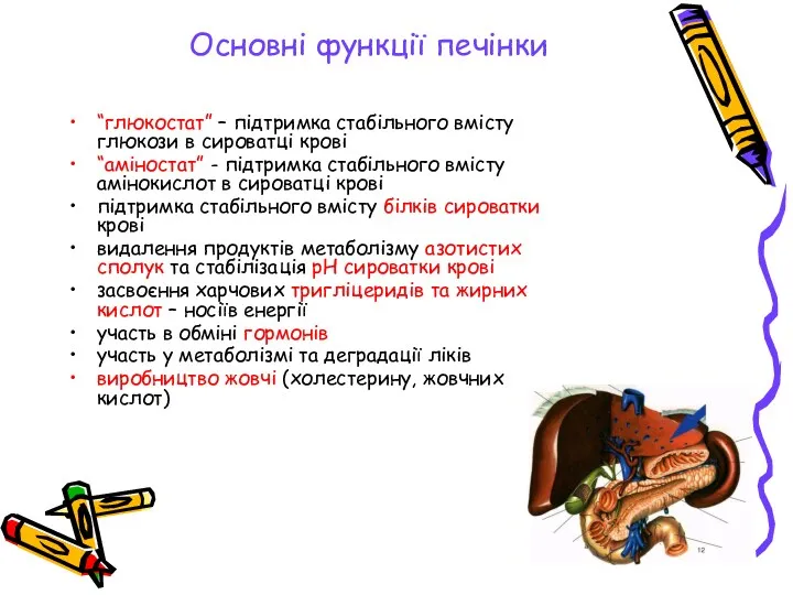 Основні функції печінки “глюкостат” – підтримка стабільного вмісту глюкози в