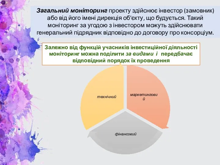 Загальний моніторинг проекту здійснює інвестор (замовник) або від його імені