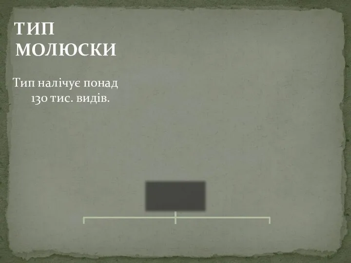 ТИП МОЛЮСКИ Тип налічує понад 130 тис. видів.