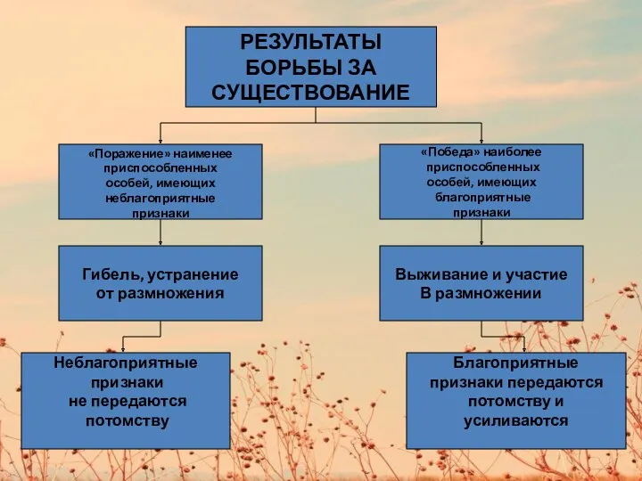 РЕЗУЛЬТАТЫ БОРЬБЫ ЗА СУЩЕСТВОВАНИЕ «Поражение» наименее приспособленных особей, имеющих неблагоприятные