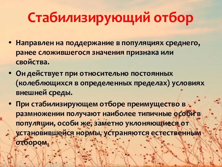 Стабилизирующий отбор Направлен на поддержание в популяциях среднего, ранее сложившегося