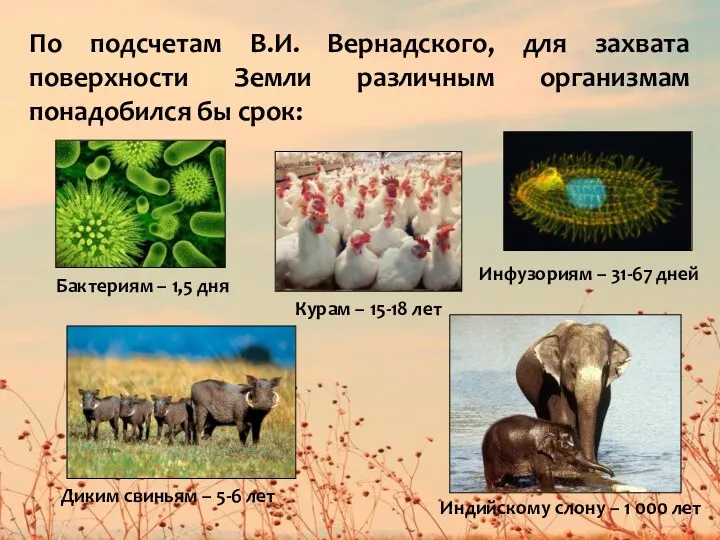 По подсчетам В.И. Вернадского, для захвата поверхности Земли различным организмам