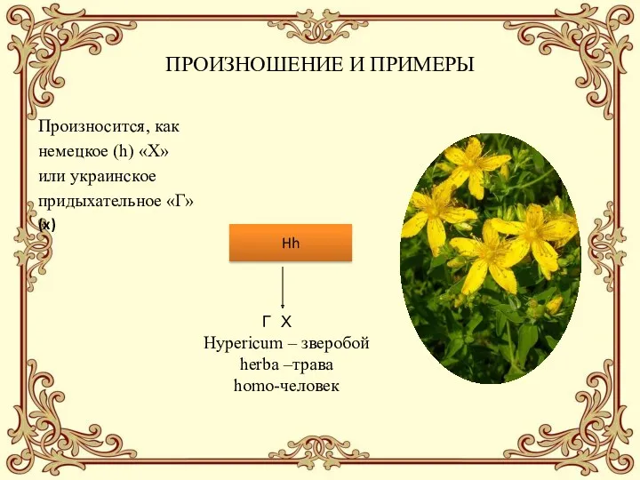 ПРОИЗНОШЕНИЕ И ПРИМЕРЫ Произносится, как немецкое (h) «Х» или украинское придыхательное «Г» (x)