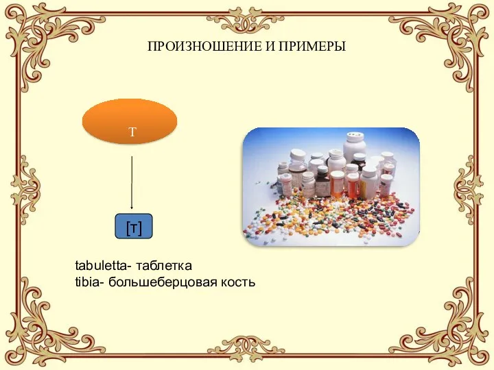 ПРОИЗНОШЕНИЕ И ПРИМЕРЫ T [т] tabuletta- таблетка tibia- большеберцовая кость