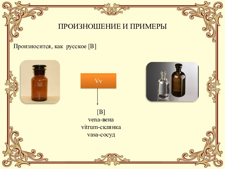 ПРОИЗНОШЕНИЕ И ПРИМЕРЫ Произносится, как русское [В] Vv [В] vena-вена vitrum-склянка vasa-сосуд