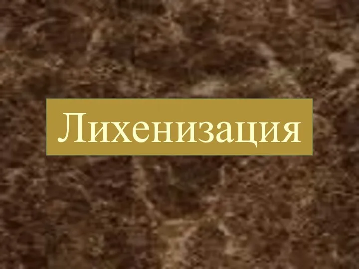 Лихенизация