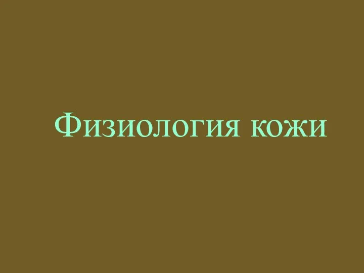 Физиология кожи