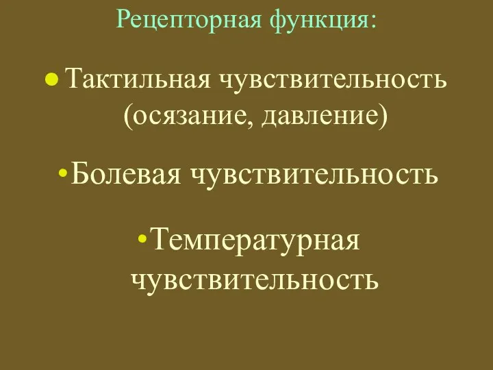 Рецепторная функция: Тактильная чувствительность (осязание, давление) Болевая чувствительность Температурная чувствительность